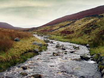 Photo of British landscape